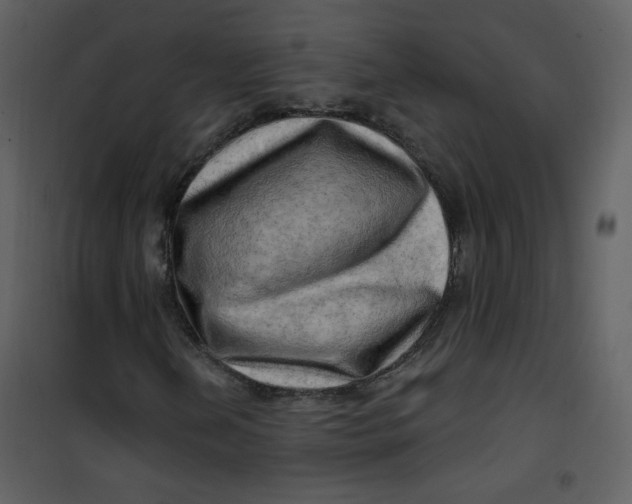 X0000100781202200807171434