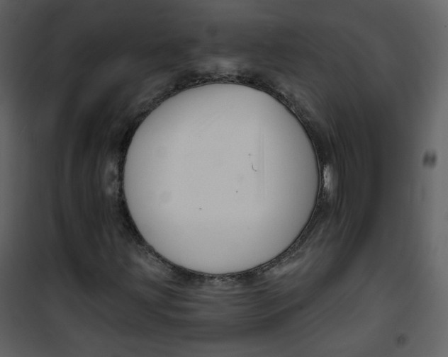 X0000100781203200807171434