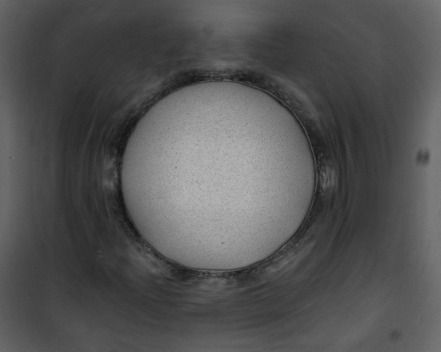 X0000100781204200807171434