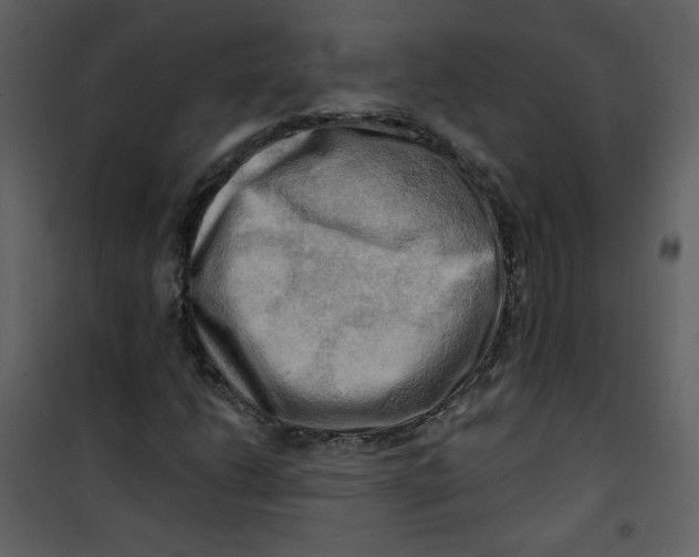 X0000100781206200807171434