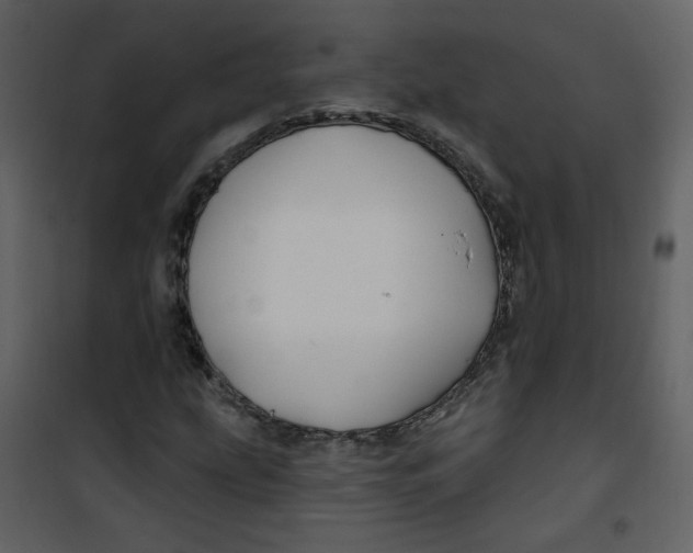 X0000100781207200807171434