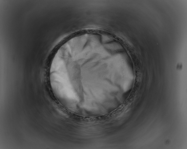 X0000100781208200807171434
