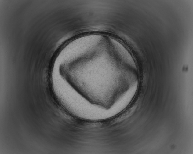 X0000100781210200807171434