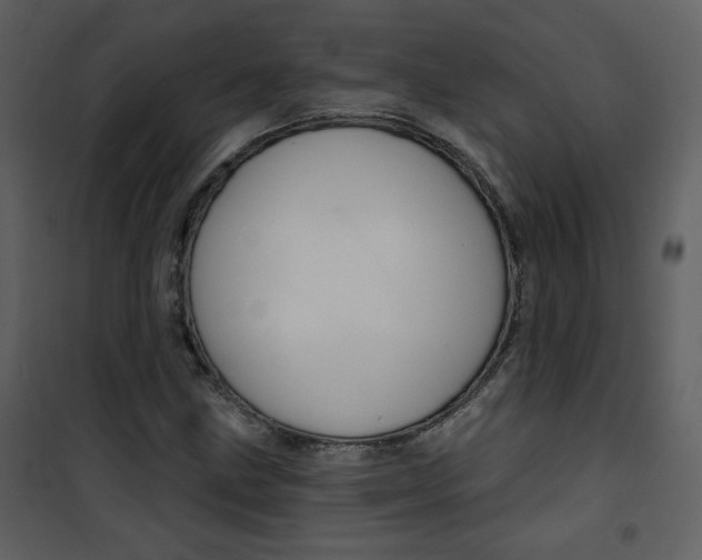 X0000100781211200807171434