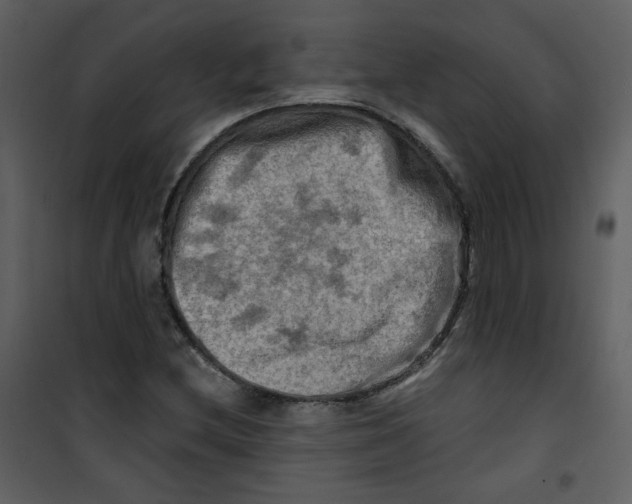 X0000100781212200807171434