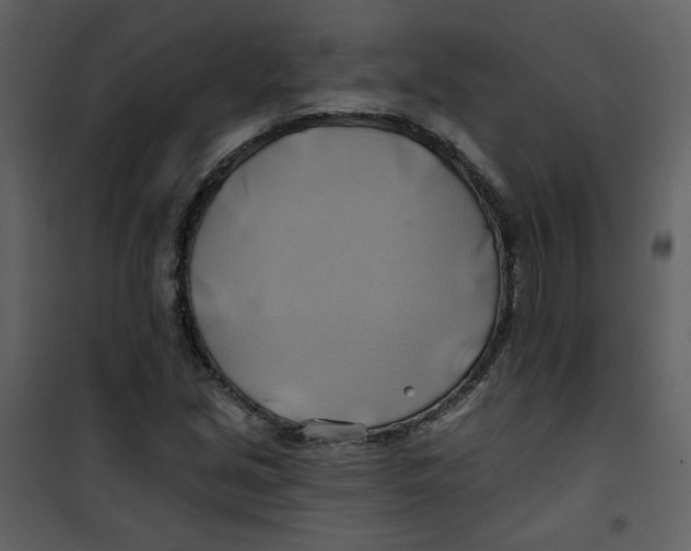X0000100781213200807171434