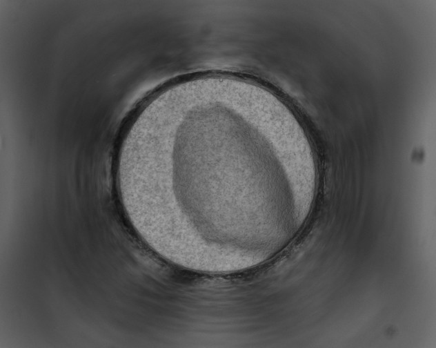 X0000100781214200807171434
