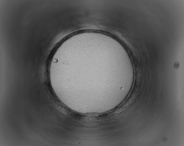 X0000100781215200807171434