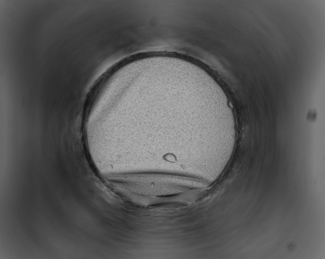 X0000100781216200807171434