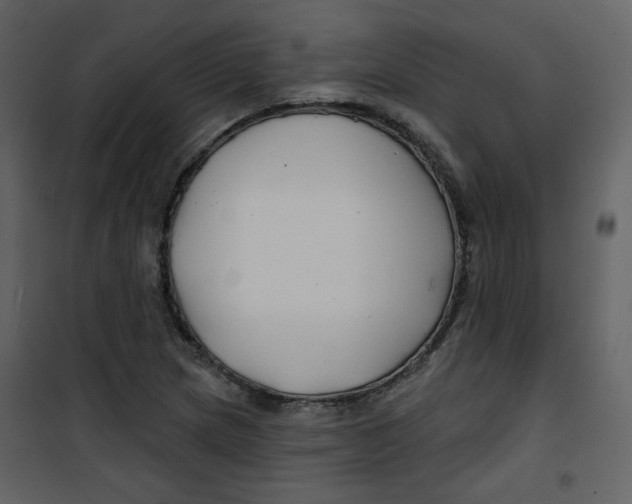 X0000100781217200807171434