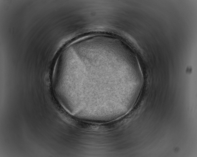 X0000100781218200807171434