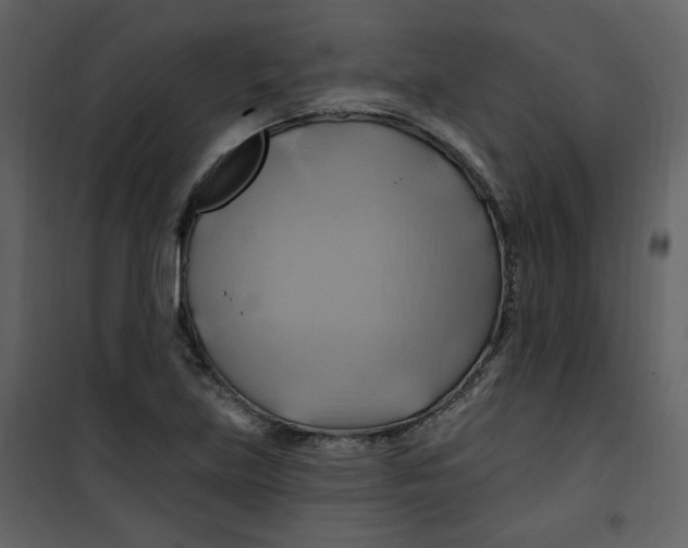 X0000100781219200807171434