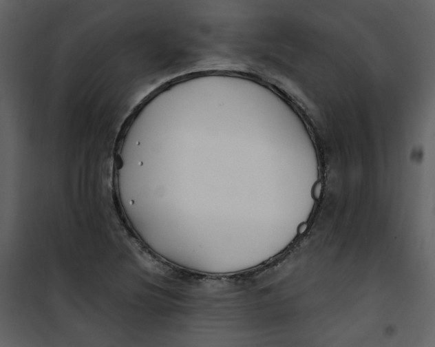 X0000100781220200807171434