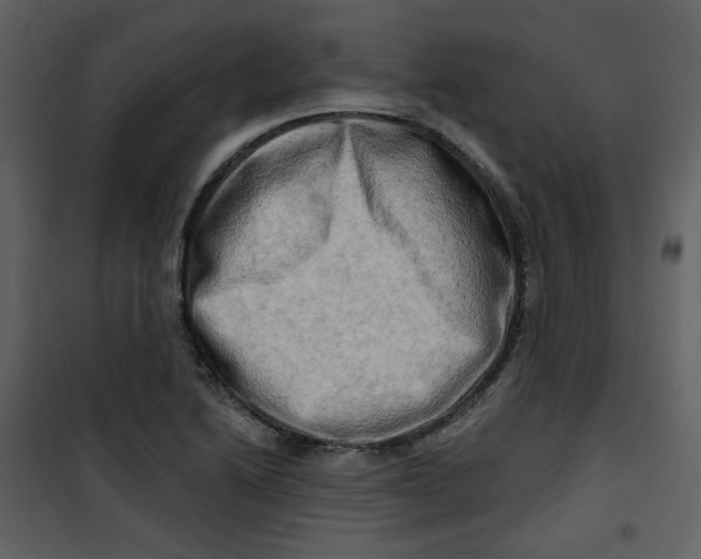 X0000100781222200807171434