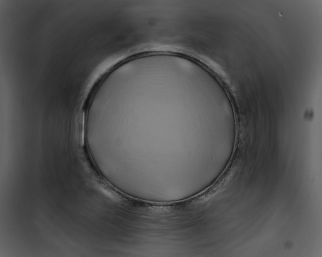 X0000100781223200807171434