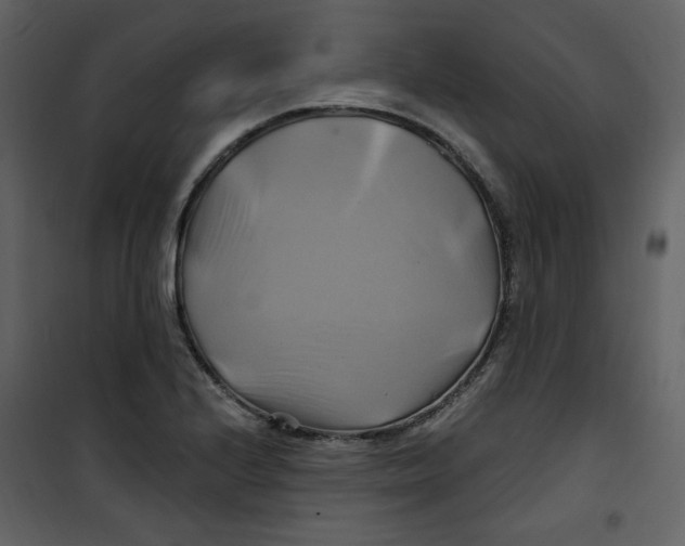 X0000100781224200807171434