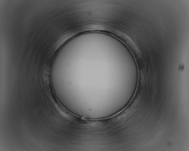 X0000100781225200807171434