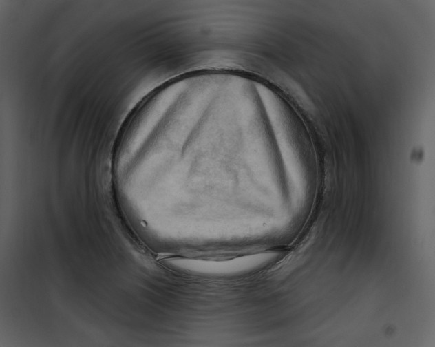 X0000100781226200807171434