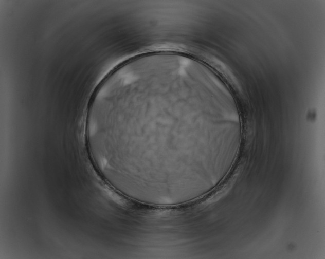 X0000100781228200807171434