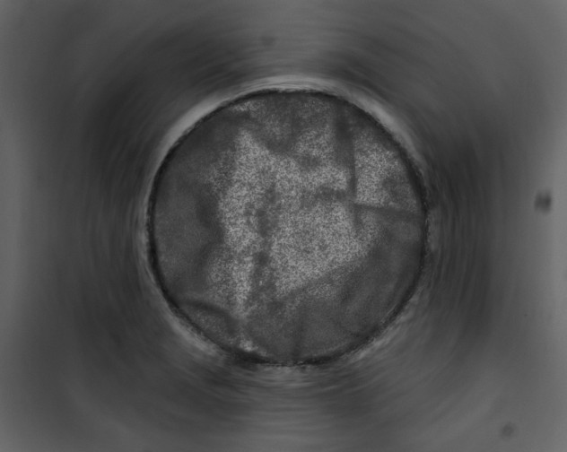 X0000100781229200807171435