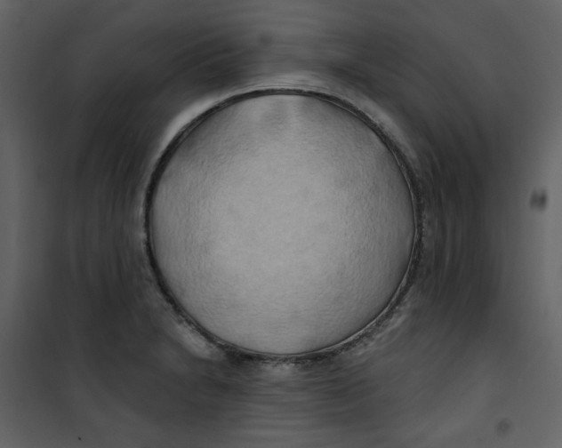 X0000100781230200807171435