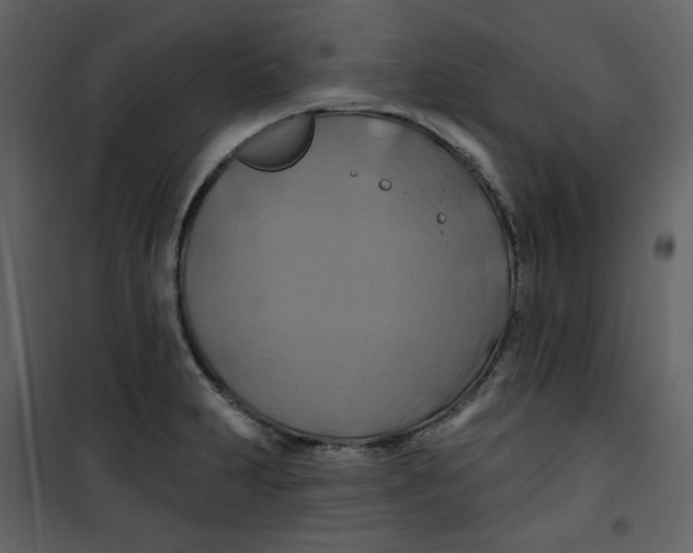 X0000100781231200807171435