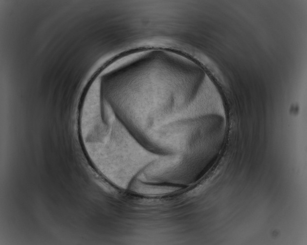 X0000100781232200807171435