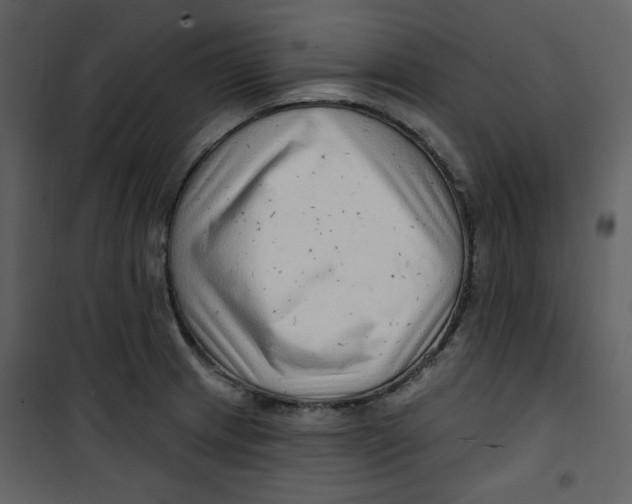 X0000100781233200807171435