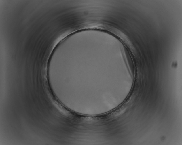 X0000100781234200807171435
