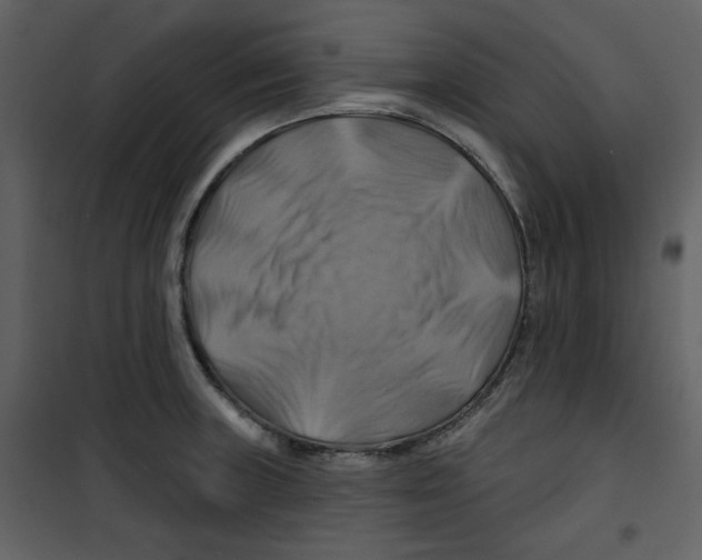 X0000100781235200807171435