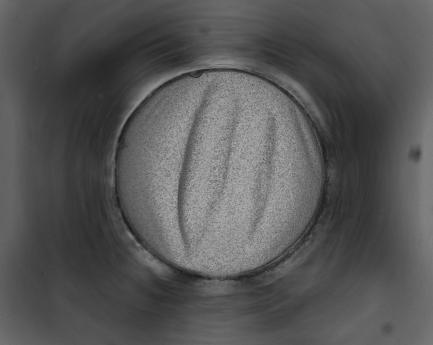 X0000100781236200807171435