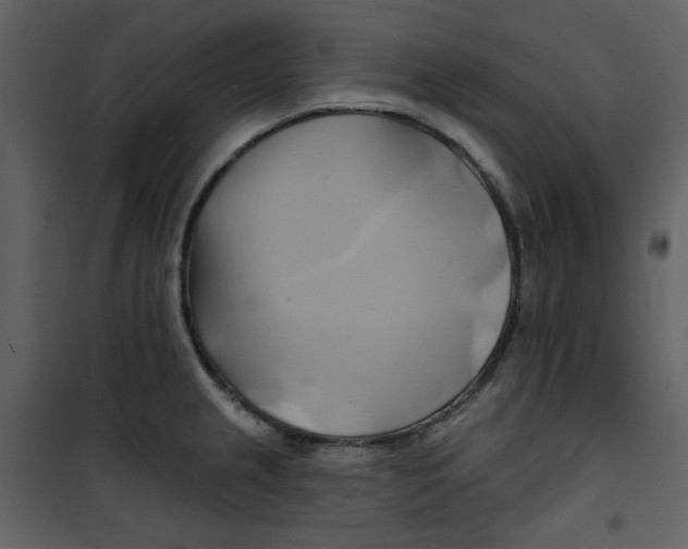 X0000100781237200807171435