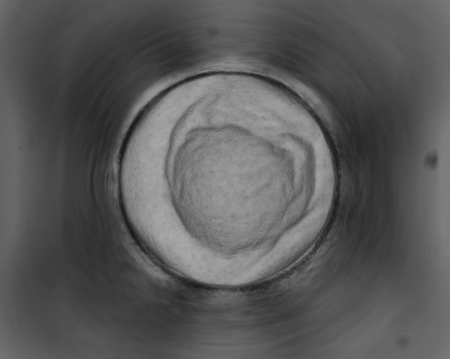 X0000100781238200807171435