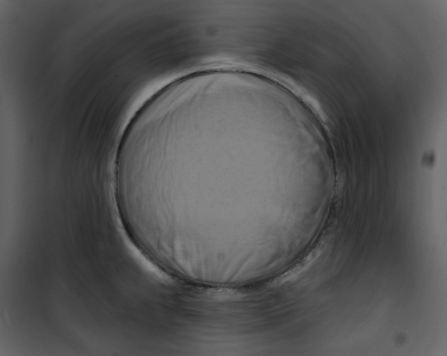 X0000100781239200807171435