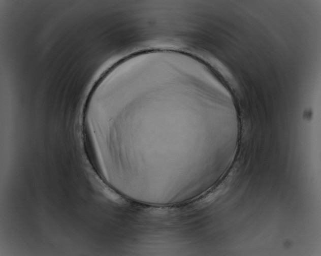 X0000100781240200807171435