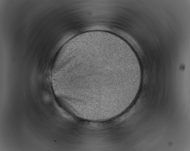 X0000100781241200807171435