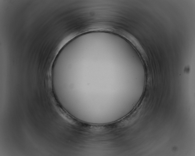 X0000100781242200807171435