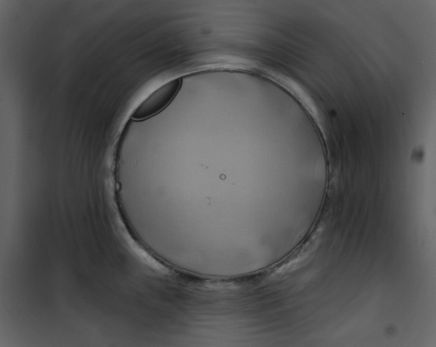 X0000100781243200807171435