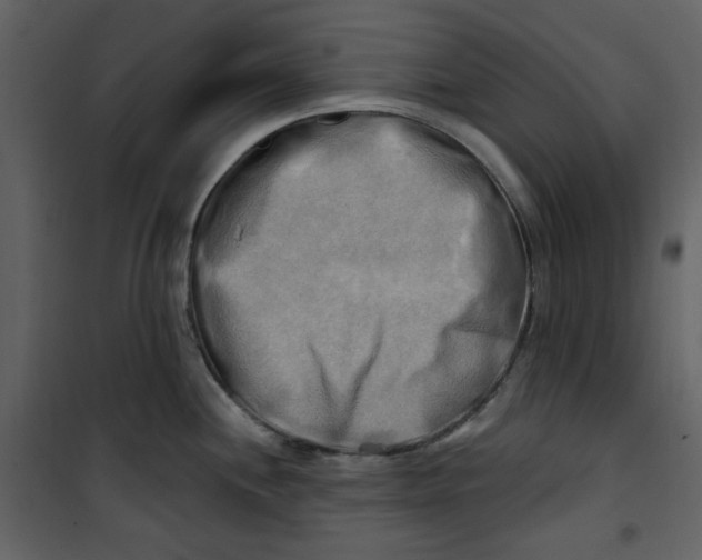 X0000100781244200807171435
