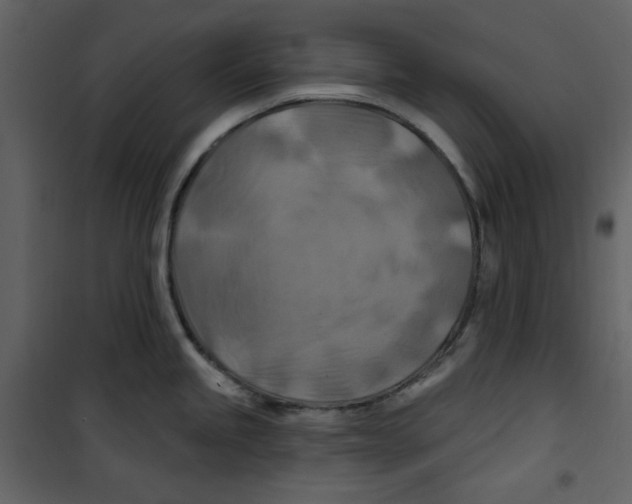X0000100781245200807171435