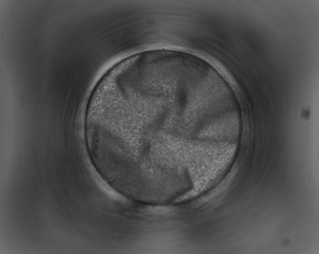 X0000100781246200807171435