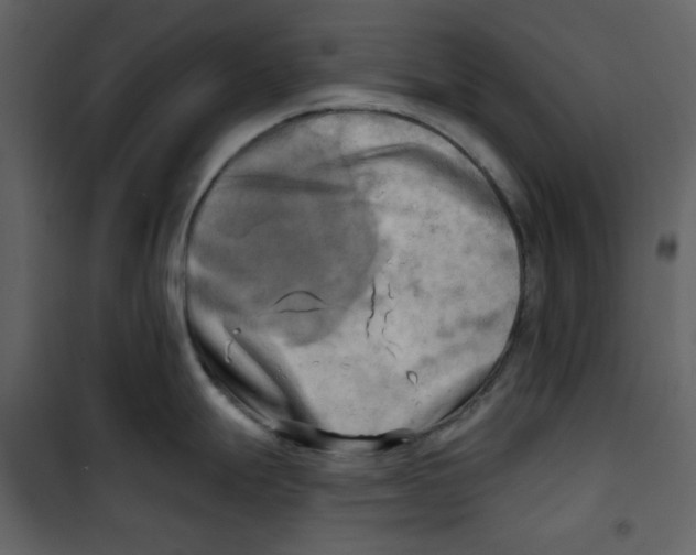 X0000100781247200807171435