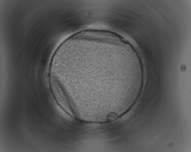 X0000100781248200807171435