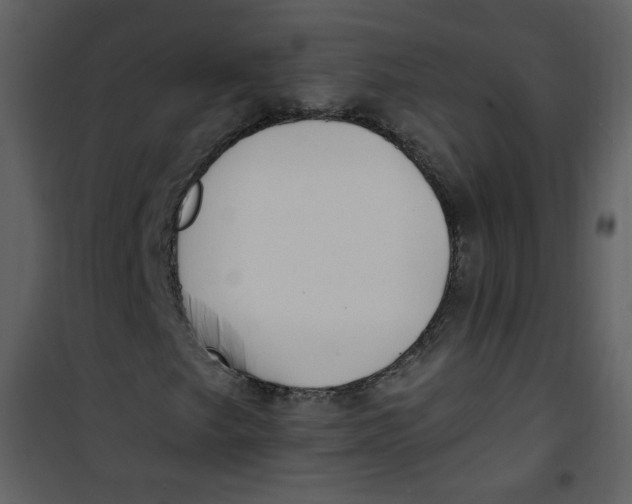 X0000100781249200807171434