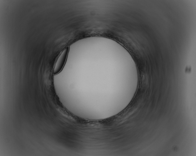 X0000100781250200807171434