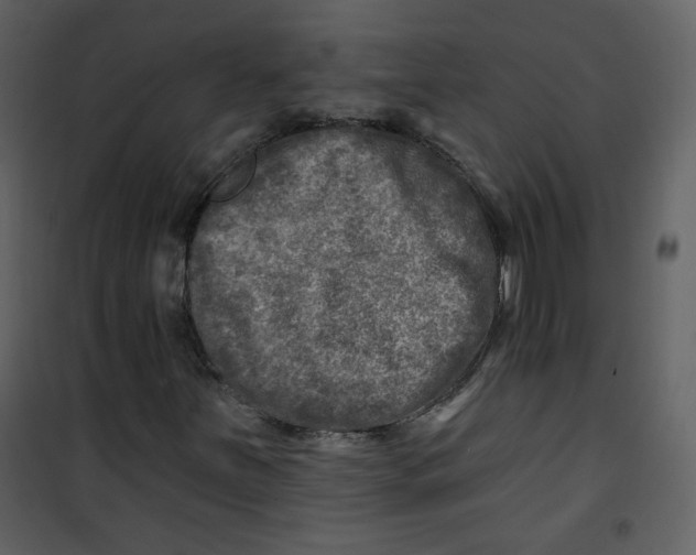 X0000100781251200807171434