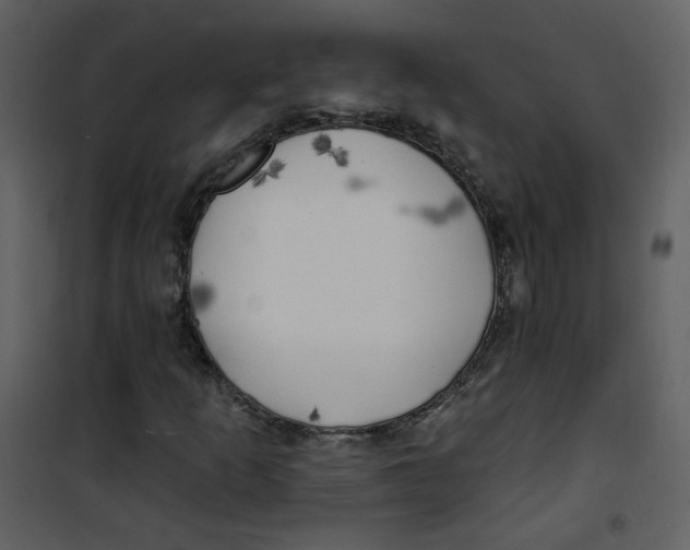 X0000100781253200807171434