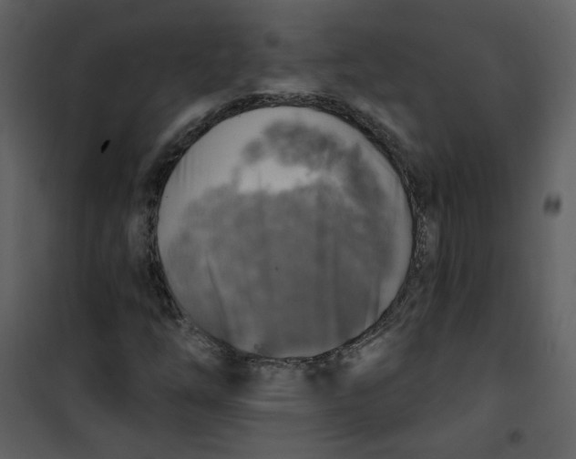 X0000100781254200807171434