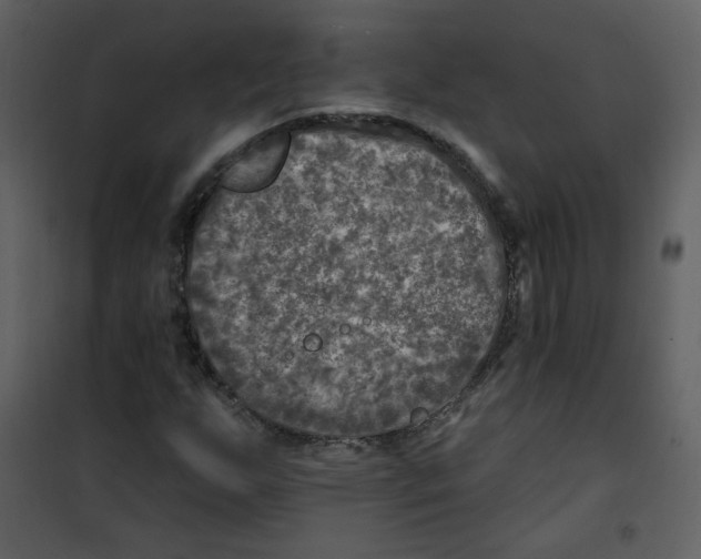 X0000100781255200807171434