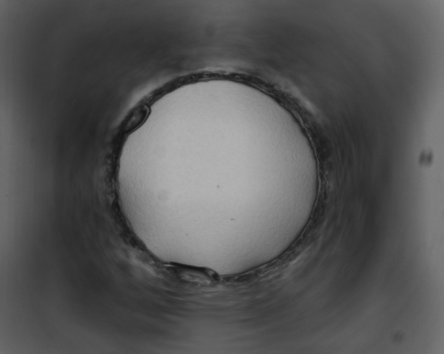 X0000100781256200807171434